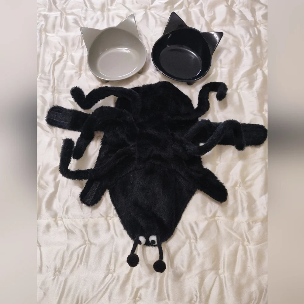 Kitty Spider Costume.